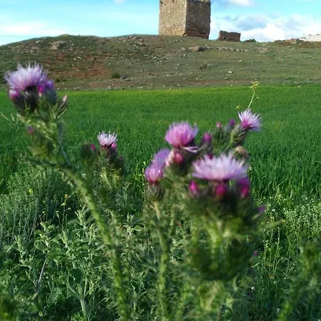 Country house Casa Lucinio *
